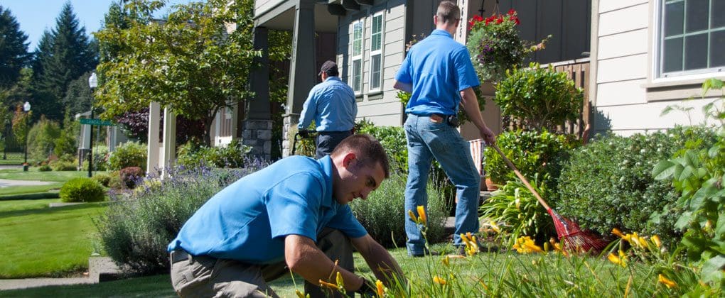 Landscaping lemont