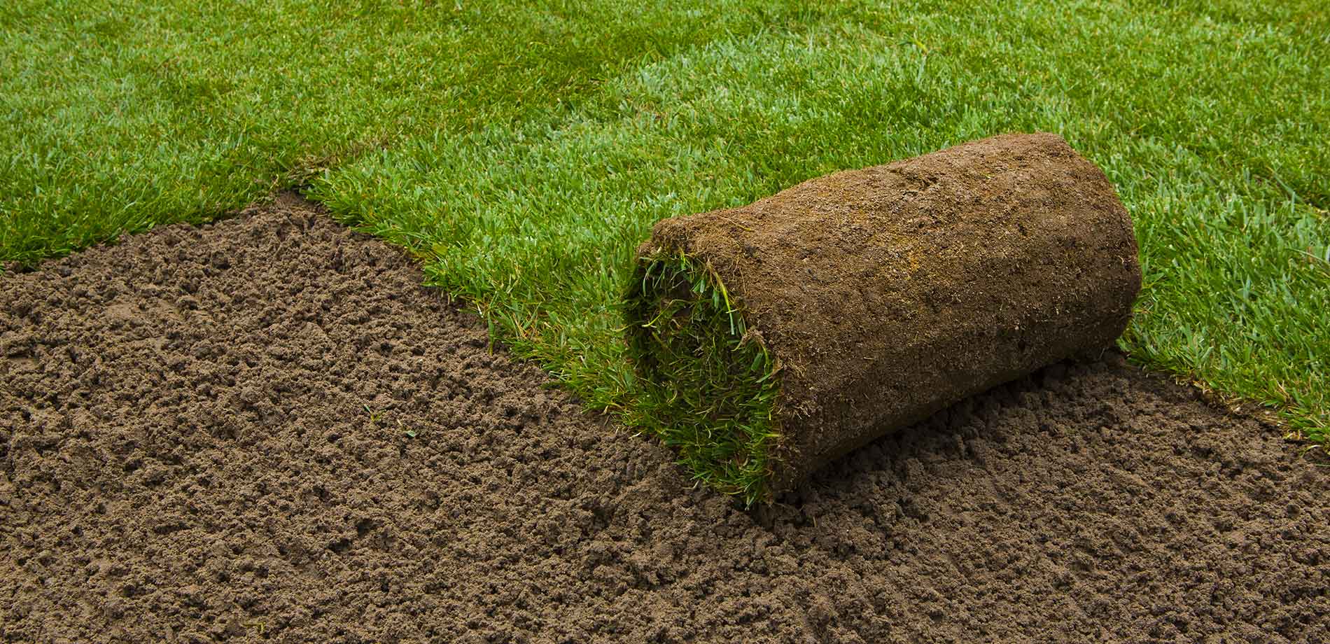 sod installation barrington